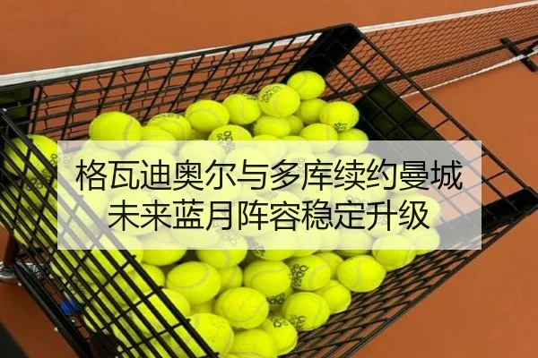 格瓦迪奥尔与多库续约曼城 未来蓝月阵容稳定升级