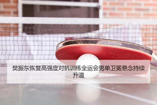 樊振东恢复高强度对抗训练全运会男单卫冕悬念持续升温